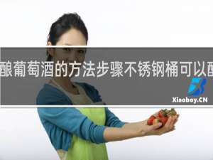 自己酿葡萄酒的方法步骤不锈钢桶可以酿葡萄酒吗