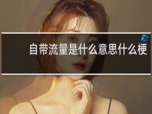 自带流量是什么意思什么梗