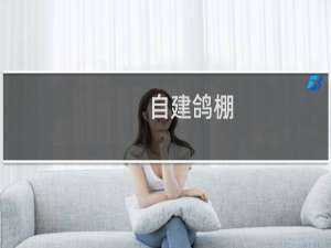 自建鸽棚