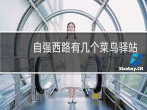 自强西路有几个菜鸟驿站