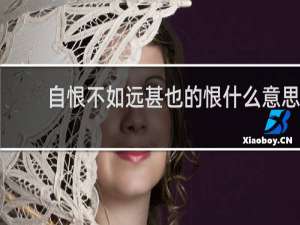 自恨不如远甚也的恨什么意思