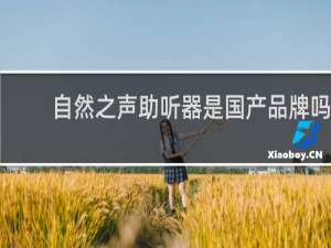 自然之声助听器是国产品牌吗