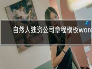 自然人独资公司章程模板word