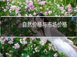 自然价格与市场价格