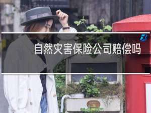 自然灾害保险公司赔偿吗