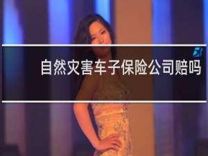 自然灾害车子保险公司赔吗