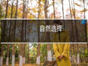 自然选择，前进四！什么梗