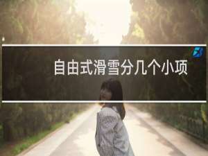 自由式滑雪分几个小项