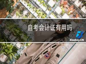 自考会计证有用吗