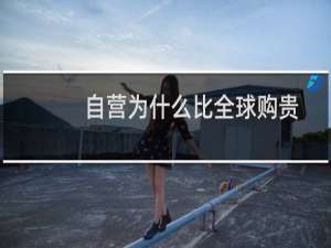 自营为什么比全球购贵
