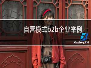 自营模式b2b企业举例
