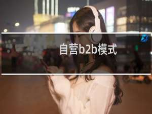 自营b2b模式