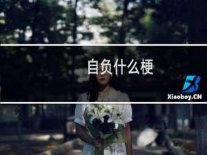 自负什么梗