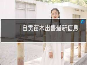 自贡苗木出售最新信息