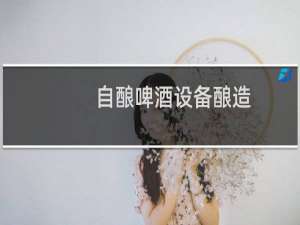 自酿啤酒设备酿造