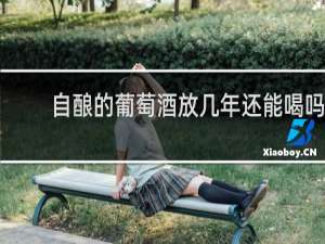 自酿的葡萄酒放几年还能喝吗