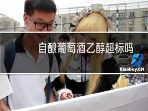 自酿葡萄酒乙醇超标吗