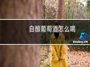 自酿葡萄酒怎么喝