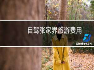 自驾张家界旅游费用