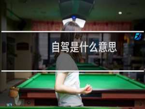 自驾是什么意思