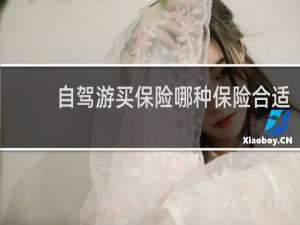自驾游买保险哪种保险合适