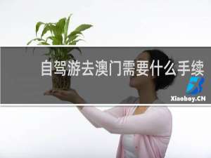 自驾游去澳门需要什么手续