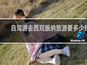 自驾游去西双版纳旅游要多少钱
