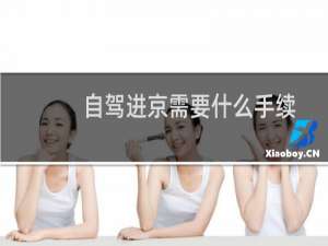 自驾进京需要什么手续