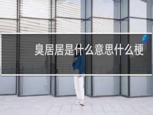 臭居居是什么意思什么梗