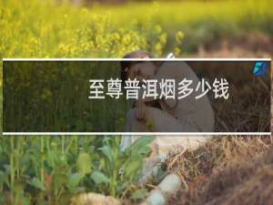 至尊普洱烟多少钱