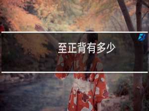 至正背有多少