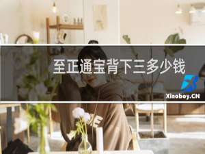 至正通宝背下三多少钱