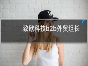 致欧科技b2b外贸组长