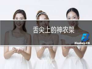 舌尖上的神农架（湖北省神农架小吃美食介绍）