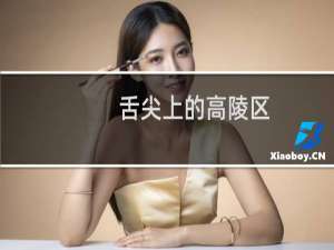 舌尖上的高陵区（西安高陵区小吃美食介绍）
