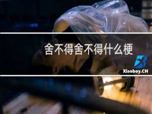 舍不得舍不得什么梗-「鲸吼社区」