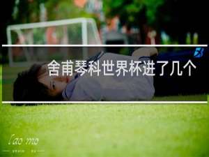 舍甫琴科世界杯进了几个球