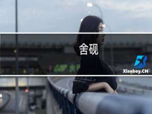 舍砚