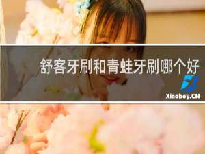 舒客牙刷和青蛙牙刷哪个好