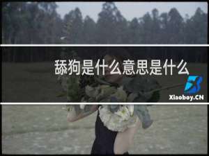 舔狗是什么意思是什么