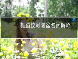 舞蹈纹彩陶盆名词解释