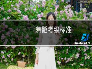 舞蹈考级标准