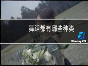 舞蹈都有哪些种类