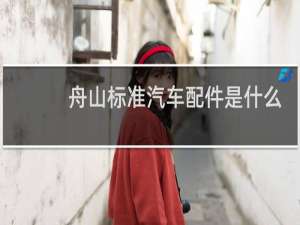 舟山标准汽车配件是什么