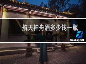 航天神舟酒多少钱一瓶