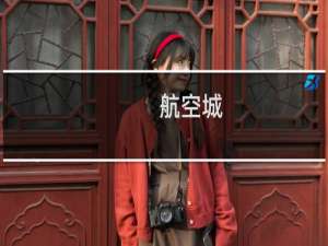 航空城