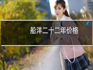 船洋二十二年价格
