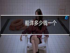 船洋多少钱一个