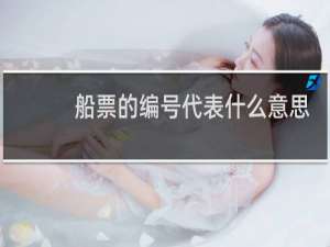 船票的编号代表什么意思