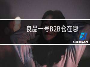 良品一号B2B仓在哪